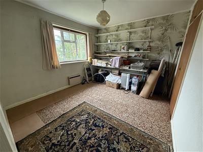 Picture 11